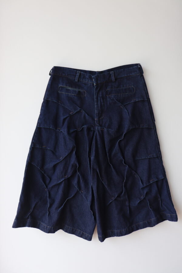 IMG_1541 Shorts Caseo