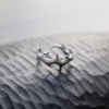 Anillo #2