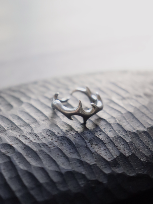 IMG_5736 Anillo #2