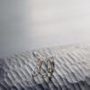 Anillo #1