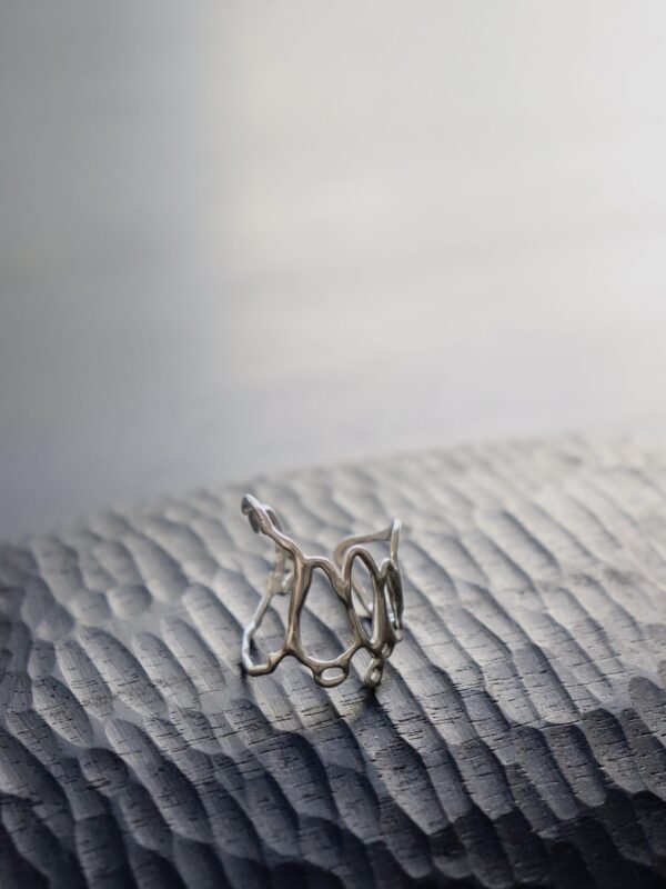 IMG_9038 Anillo #1