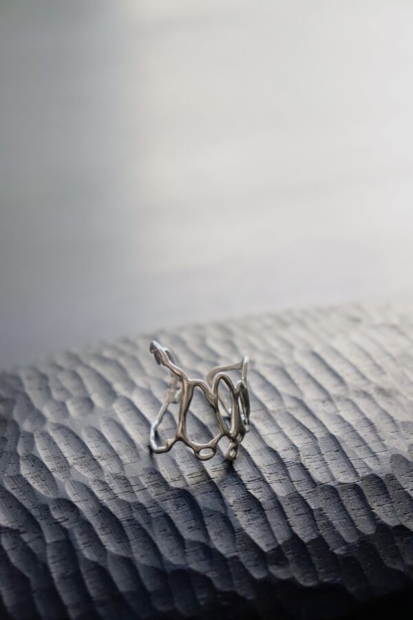 Anillo #1
